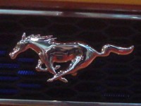 restlichte Autos - Galerie