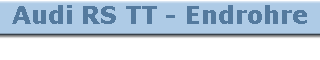 Audi RS TT - Endrohre