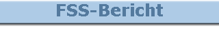 FSS-Bericht