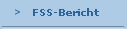    FSS-Bericht