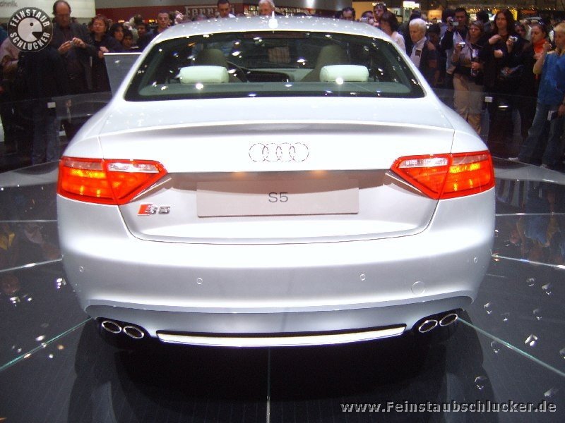 Audi S5 - Heck
