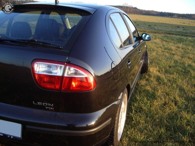 Huaba - Seat Leon - R�ckleuchte und Seitenlinie