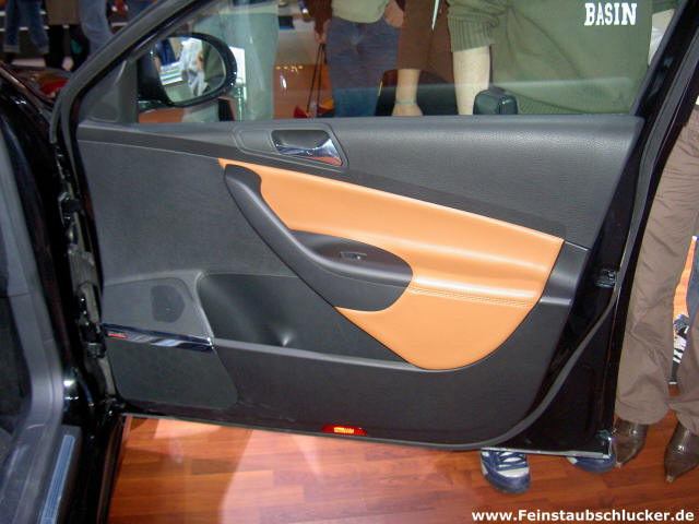 VW Passat Individual - T�r