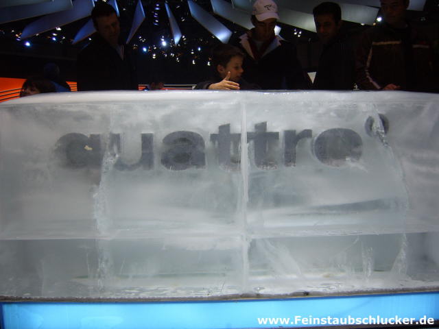 quattro Schriftzug im Eis